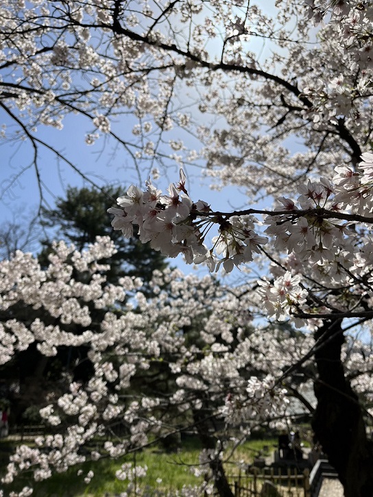 https://www.meirin-net.co.jp/classroom/gokiso_k/1680601014961.jpg